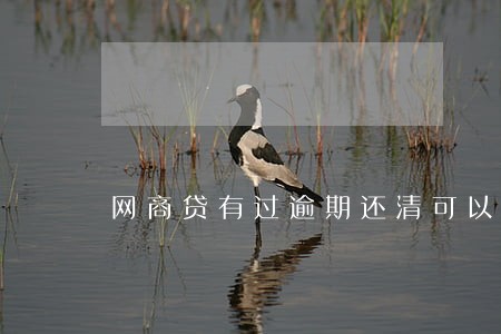 网商贷有过逾期还清可以在借吗 网商贷有过逾期还清可以在借吗