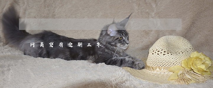 网商贷有逾期三年 网商贷有逾期三年