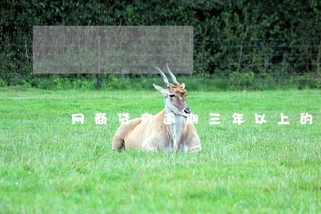 网商贷有逾期三年以上的吗 网商贷有逾期三年以上的吗