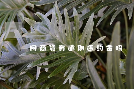 网商贷有逾期违约金吗 网商贷有逾期违约金吗