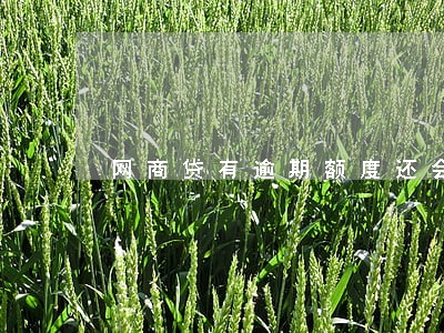 网商贷有逾期额度还会上涨吗 网商贷有逾期额度还会上涨吗