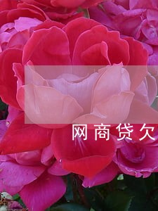 网商贷欠1万3逾期一年 网商贷欠1万3逾期一年