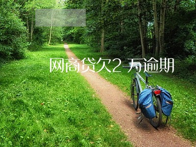 网商贷欠2万逾期 网商贷欠2万逾期