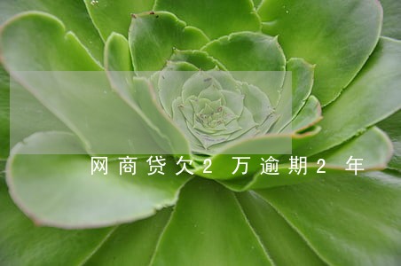 网商贷欠2万逾期2年 网商贷欠2万逾期2年