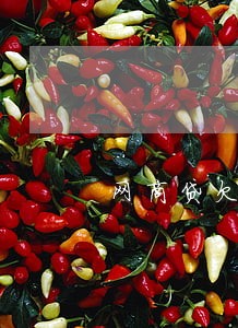 网商贷欠8万逾期了半年6 网商贷欠8万逾期了半年6