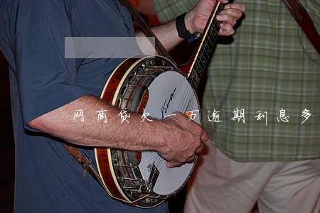网商贷欠一万逾期利息多少 网商贷欠一万逾期利息多少