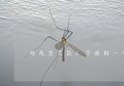 网商贷欠款6万逾期一年多 网商贷欠款6万逾期一年多