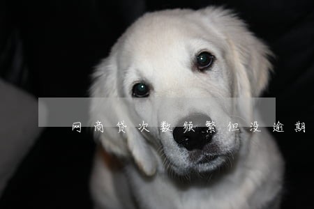 网商贷次数频繁但没逾期 网商贷次数频繁但没逾期