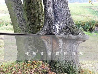 网商贷款逾期消除