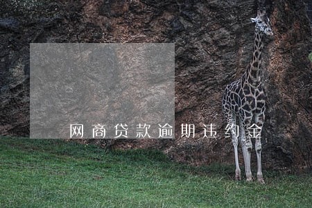 网商贷款逾期违约金 网商贷款逾期违约金