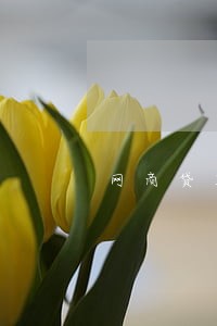网商贷正常逾期提醒 网商贷正常逾期提醒