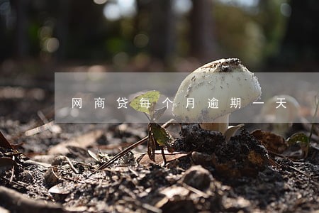 网商贷每个月逾期一天 网商贷每个月逾期一天