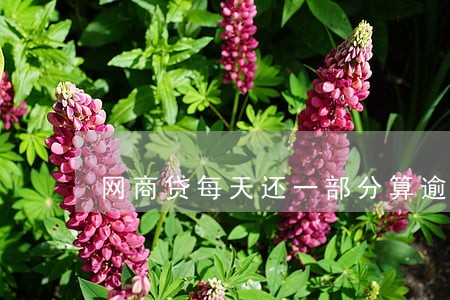 网商贷每天还一部分算逾期吗 网商贷每天还一部分算逾期吗