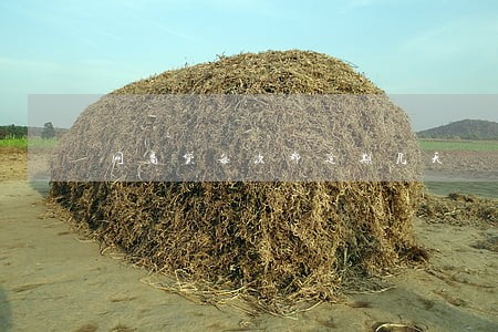网商贷每次都逾期几天 网商贷每次都逾期几天