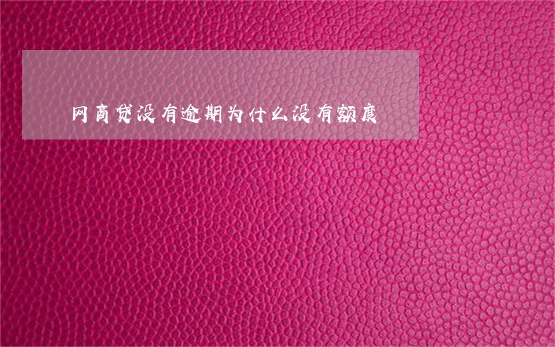 网商贷没有逾期为什么没有额度 网商贷没有逾期为什么没有额度