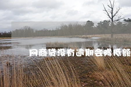 网商贷没有逾期会降低额度吗 网商贷没有逾期会降低额度吗