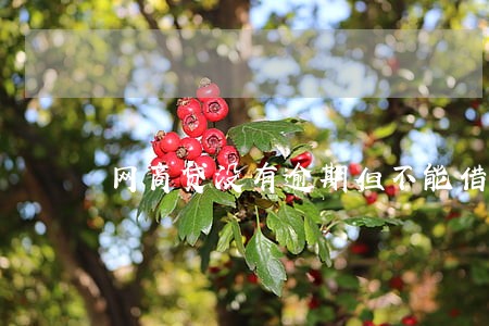 网商贷没有逾期但不能借款了 网商贷没有逾期但不能借款了