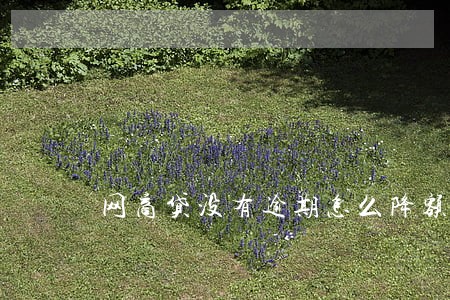 网商贷没有逾期怎么降额 网商贷没有逾期怎么降额