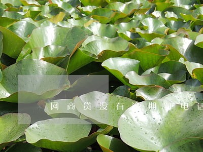 网商贷没有逾期打电话给家人 网商贷没有逾期打电话给家人