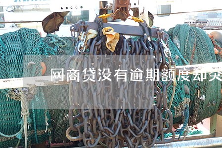 网商贷没有逾期额度却突然关闭 网商贷没有逾期额度却突然关闭