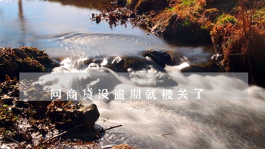 网商贷没逾期就被关了 网商贷没逾期就被关了