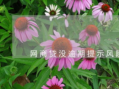 网商贷没逾期提示风险怎么避免 网商贷没逾期提示风险怎么避免
