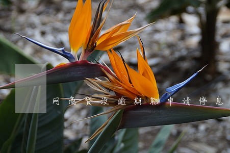网商贷没逾期能申请停息挂账么 网商贷没逾期能申请停息挂账么