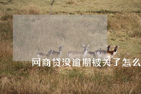 网商贷没逾期被关了怎么回事 网商贷没逾期被关了怎么回事