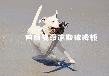 网商贷没逾期被降额 网商贷没逾期被降额