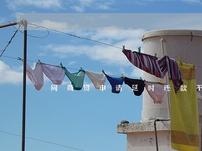 网商贷申请延时还款不会有逾期