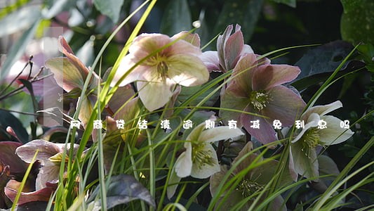 网商贷结清逾期有减免利息吗 网商贷结清逾期有减免利息吗