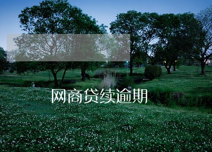 网商贷续逾期 网商贷续逾期