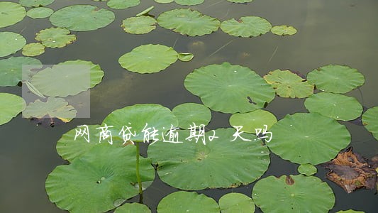 网商贷能逾期2天吗 网商贷能逾期2天吗