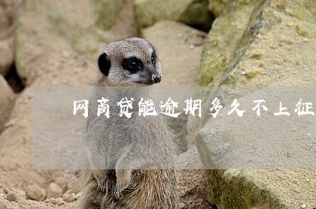 网商贷能逾期多久不上征信 网商贷能逾期多久不上征信