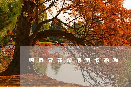 网商贷花呗信用卡逾期 网商贷花呗信用卡逾期