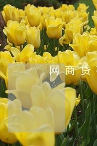 网商贷花呗都逾期了 网商贷花呗都逾期了