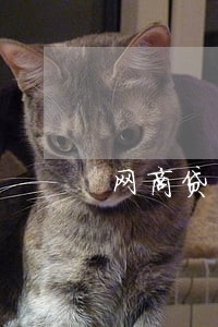 网商贷莫名其妙逾期 网商贷莫名其妙逾期