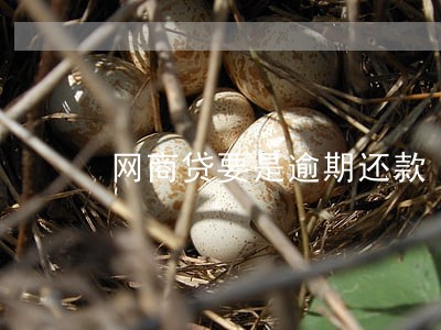 网商贷要是逾期还款 网商贷要是逾期还款
