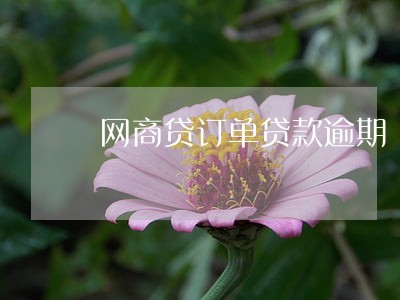 网商贷订单贷款逾期 网商贷订单贷款逾期
