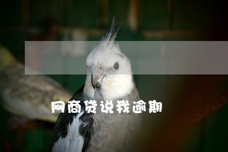 网商贷说我逾期 网商贷说我逾期