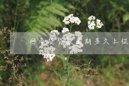 网商贷贷款逾期多久上征信 网商贷贷款逾期多久上征信