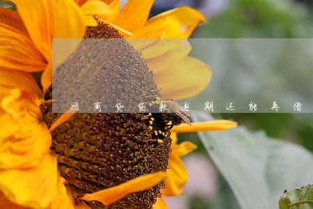 网商贷贷款逾期还能再借吗 网商贷贷款逾期还能再借吗