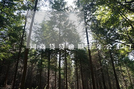 网商贷贷逾期半年会上门吗 网商贷贷逾期半年会上门吗