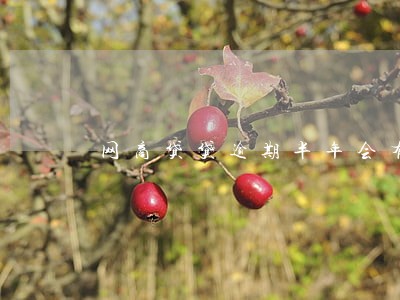 网商贷贷逾期半年会有啥后果 网商贷贷逾期半年会有啥后果