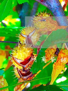 网商贷超10万逾期 网商贷超10万逾期