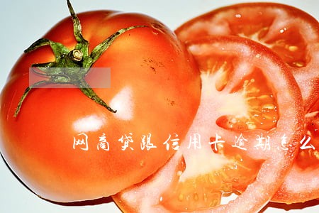 网商贷跟信用卡逾期怎么处理 网商贷跟信用卡逾期怎么处理