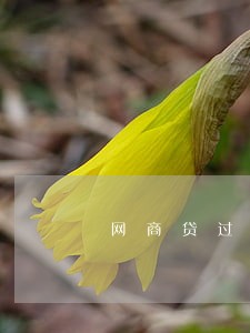 网商贷过了还款日1天显示逾期