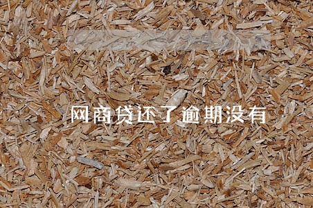 网商贷还了逾期没有 网商贷还了逾期没有