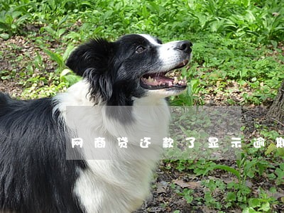 网商贷还款了显示逾期 网商贷还款了显示逾期
