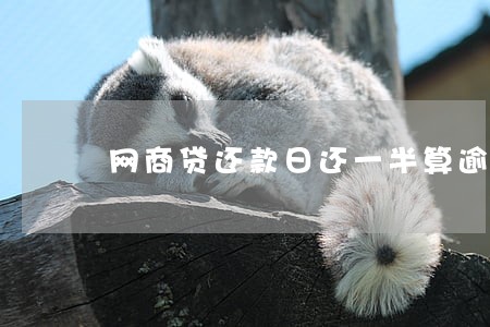 网商贷还款日还一半算逾期吗 网商贷还款日还一半算逾期吗